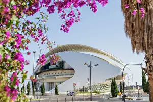 Arts Prints: Palau de les Arts Reina Sofia or the Queen Sofia Palace of Arts at the City of Arts and Sciences