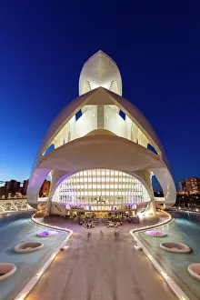 Arts Prints: The Palau de les Arts Reina Sofia (Queen Sofia Palace of the Arts) at dusk