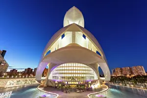 Arts Prints: The Palau de les Arts Reina Sofia (Queen Sofia Palace of the Arts) at dusk