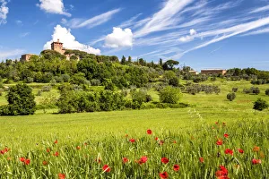 Holiday Destination Prints: Palazzo Massaini & Poppies, Tuscany, Italy