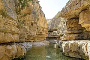 Palestine, West Bank, Jericho. Ein Quelt spring and freshwater pools within the Wadi