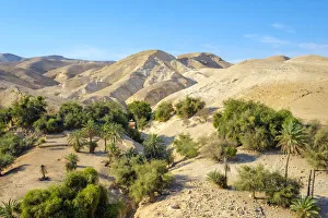Images Dated 8th February 2019: Palestine, West Bank, Jericho. Wadi Quelt, Prat River gorge