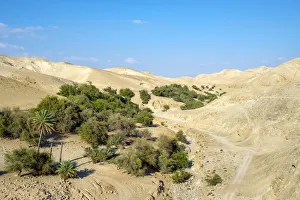 Jericho Prints: Palestine, West Bank, Jericho. Wadi Quelt, Prat River gorge