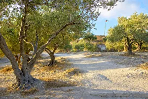 Palestine, West Bank, Nablus District, Sebastia Village