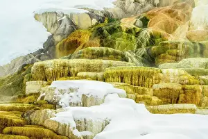 Carvings Prints: Palette Spring in winter, Yellowstone National Park- Mammoth Hot springs, Wyoming, USA