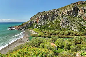 Images Dated 13th June 2023: Palm beach of Preveli, Rethymno, Crete, Greece