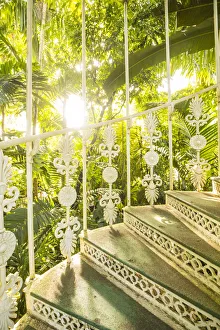Images Dated 27th September 2018: Palm House, Kew Gardens (Royal Botanic Gardens), Richmond, London, England, UK