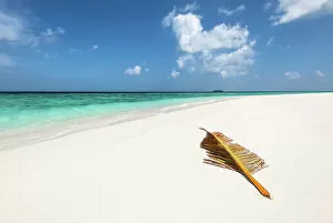Deserted Gallery: A palm tree leaf brought over by waves to a deserted sandbank in the Indian Ocean, Baa Atoll