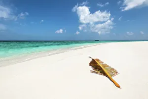 Deserted Gallery: A palm tree leaf brought over by waves to a deserted sandbank in the Indian Ocean, Baa Atoll
