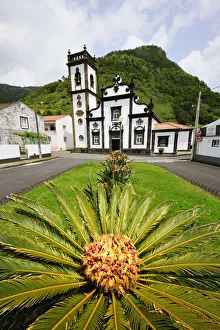 Covers Prints: Palm tree and motherchurch at Faial da Terra. Sao Miguel, Azores islands, Portugal