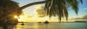 Images Dated 20th April 2015: Palm Tree at Sunset, Anse Lazio Beach, Praslin, Seychelles