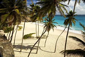 Faraway Prints: Palm Trees, Bottom Bay, Barbados, West Indies
