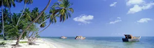 Floating Prints: Palm Trees & Boats, Pigeon Point, Tobago, West Indies
