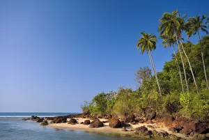 Escape Prints: Palm Trees, Goa, India, Asia