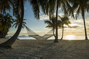 Americana Prints: Palm Trees & Hammock, Islamorada, Florida Keys, USA