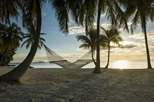 Relaxation Gallery: Palm Trees & Hammock, Islamorada, Florida Keys, USA
