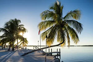 Images Dated 6th September 2014: Palm Trees & Jetty, Islamorada, Florida Keys, USA