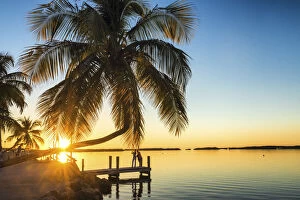 Images Dated 29th November 2016: Palm Trees & Jetty at Sunset, Islamorada, Florida Keys, USA