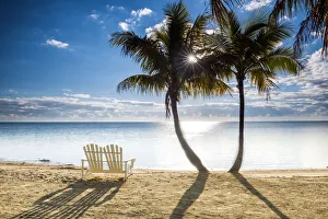Palm Trees & Love Seat, Islamorada, Florida Keys, USA