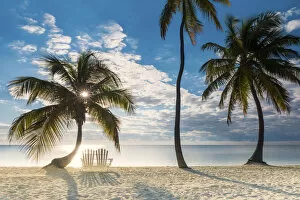 Holiday Destination Collection: Palm Trees & Love Seat, Islamorada, Florida Keys, USA