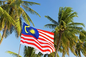 Cenang Beach Prints: Palm trees and Malaysian flag, Cenang Beach, Langkawi, Kedah, Malaysia
