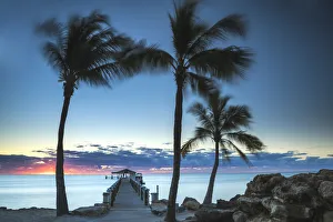 Walkway Prints: Palm Trees & Pier at Dawn, Islamorada, Florida Keys, USA