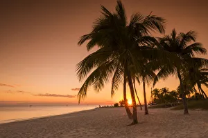 Contre Jour Prints: Palm Trees at Sunset, Key West, Florida, USA