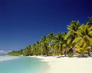 Cook Islands Gallery: Palm Trees & Tropical Beach, Aitutaki Island, Cook Islands, Polynesia