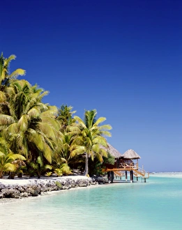 Cook Islands Gallery: Palm Trees & Tropical Beach, Aitutaki Island, Cook Islands, Polynesia