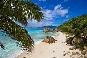 Palm trees and tropical beach, La Digue, Seychelles
