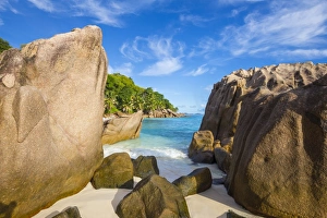 Palm trees and tropical beach, La Digue, Seychelles