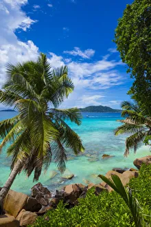 Palm trees and tropical beach, La Digue, Seychelles