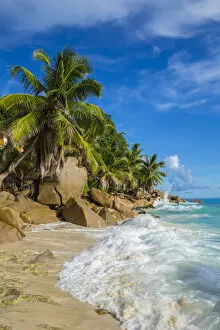 Images Dated 19th May 2015: Palm trees and tropical beach, La Digue, Seychelles