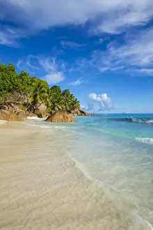 Palm trees and tropical beach, La Digue, Seychelles