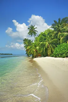 Kunfunadhoo Prints: Palm trees and tropical beach - Maldives, Baa Atoll, Kunfunadhoo - Soneva Fushi