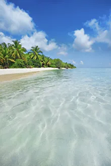 Palm trees and tropical beach - Maldives, Baa Atoll, Kunfunadhoo - Soneva Fushi