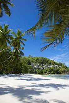 Images Dated 5th November 2013: Palm trees and tropical beach, southern Mahe, Seychelles
