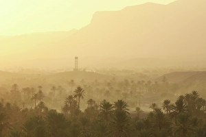 Nkob Prints: Palmeries at sunset, Nkob, Morocco