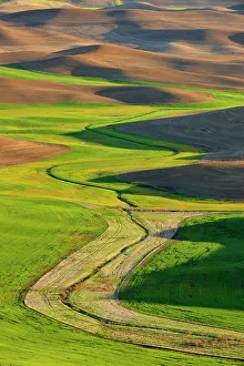 Great Plains Prints: Palouse farmland in evening light in springtime, Steptoe Butte State Park, Washington, USA
