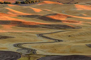 Farmland Prints: Palouse landscape near sunset in late summer, Steptoe Butte State Park, Washington, USA