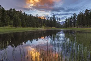 Valchiavenna Prints: Palu dal F√©n lake, Gualdera, Campodolcino, Sondrio province