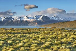 Images Dated 1st March 2021: Pampa landscape at Lago Viedma - Argentina, Santa Cruz, Los Glaciares, El Chalten
