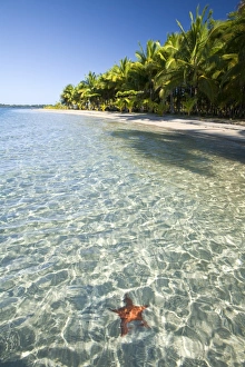Panama, Bocas del Toro Province
