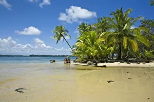 Images Dated 28th March 2008: Panama, Bocas del Toro Province, Colon Island (Isla Colon) Boca Del Drago Beach