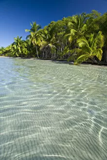 Panama, Bocas del Toro Province, Colon Island (Isla Colon) Star Beach