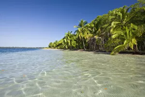 Images Dated 28th March 2008: Panama, Bocas del Toro Province, Colon Island (Isla Colon) Star Beach