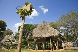 Images Dated 28th March 2008: Panama, Chagres River, Embera Village, Thatched hut