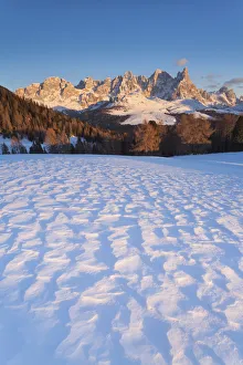 Paneveggio Prints: Paneveggio-Pale of San Martino natural park, Trentino Alto Adige, Italy