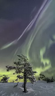 Panorama of snowy woods and frozen trees framed by Northern lights and stars Levi