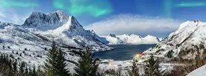 Aurora Borealis Prints: Panoramic of snowy mountains and cold sea under the Northern Lights